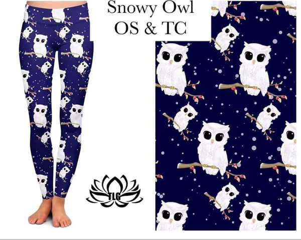 WINTER OWLS