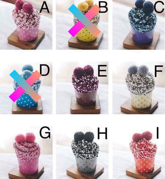 CUPCAKE SOCKS