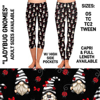 LADYBUG GNOME