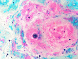 UNI DUST